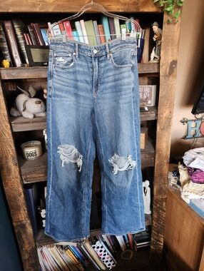 American Eagle Outfitters Light Blue Distressed Wide Leg Jeans